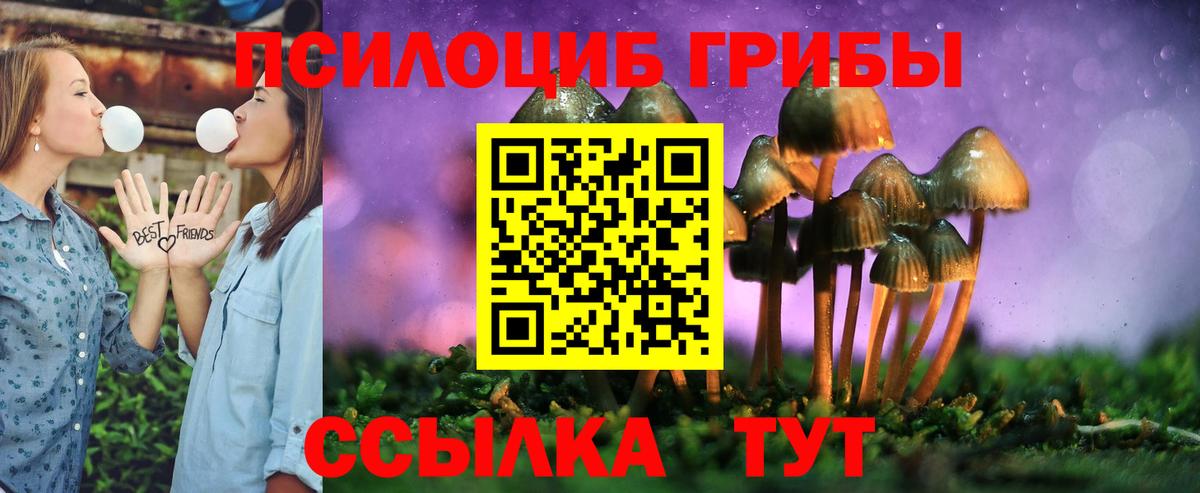 Галлюциногенные грибы MAGIC MUSHROOMS  Вход с VPN  Красноперекопск 